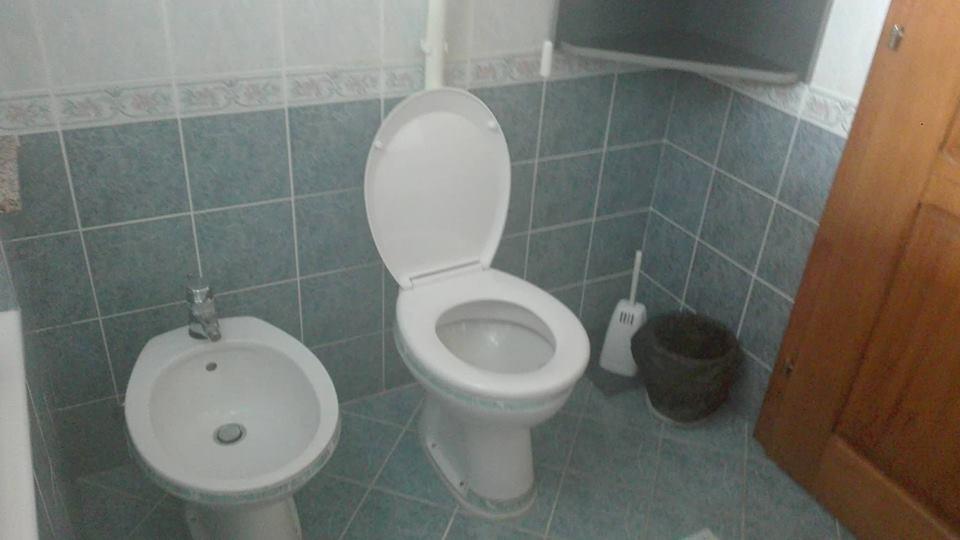 באצ'קי פטרובץ Domacinstvo Opavski מראה חיצוני תמונה